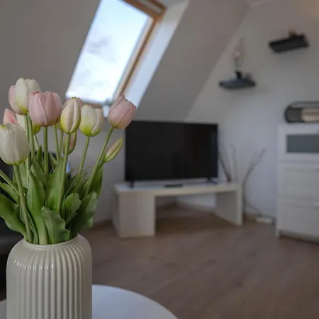 Casa vacanze Haus Ostfriesland *